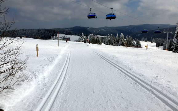 Langlaufen Breisgau-Hochschwarzwald – Langlaufen Feldberg – Seebuck/Grafenmatt/Fahl
