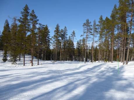 Noord-Zweden: milieuvriendelijkheid van de skigebieden – Milieuvriendelijkheid Idre Himmelfjäll