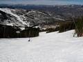 Pistes Beaver Creek