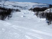 Björkliden Trouble Park