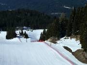 Kaltwasserlift - Sleeplift met T-beugel/Ankerlift