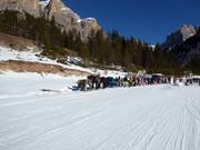 Paardenslee aan het einde van de Lagazuoi-piste