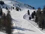 Afdaling naar de Paznauner Thaya