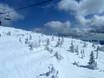 Skigebieden voor gevorderden en off-piste skiërs Kootenay Rockies – Gevorderden, off-piste skiërs Big White