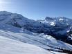 Berner Alpen: Grootte van de skigebieden – Grootte Adelboden/Lenk – Chuenisbärgli/Silleren/Hahnenmoos/Metsch