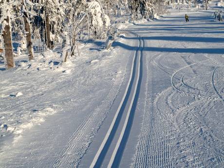 Langlaufen Ertsgebergte – Langlaufen Fichtelberg – Oberwiesenthal