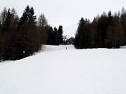 Middelzware dalafdaling nr. 4