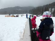 Transportband en sleeplift ontsluiten zeer vlakke pistes in het Hirschzwergland