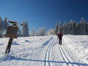 Verbindingsloipe van de Ettelsberg naar de Hochheideloipe