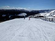 Gemakkelijke Paulipiste