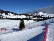 Freeridecross-parcours