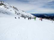 Oefenweide Baby 1 (Kellaria 1950)