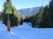 Zwarte skipiste naar Bischofswiesen (geen verbinding met lift)