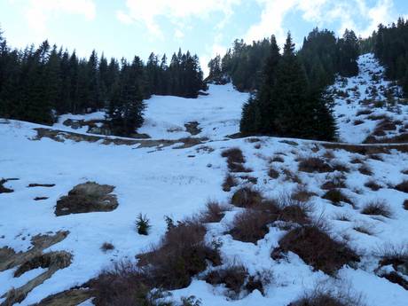 Skigebieden voor gevorderden en off-piste skiërs North Shore Mountains – Gevorderden, off-piste skiërs Grouse Mountain