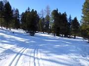 Hoogteloipe bij het bergstation van de 10-persoons gondelbaan