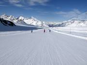 Makkelijke gletsjerpiste Gandegg