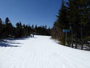 Vanaf de Barker Mountain vertrekt een bijna 5 km (3 mijl) lange gemakkelijke piste.