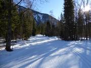 Loipe in Bayrischzell