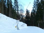 Volledige besneeuwing in het skigebied