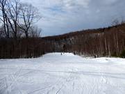 Gemakkelijke piste Nansen