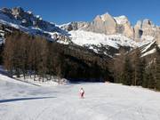 Gemakkelijke piste Ciampedie - Pian Pecei