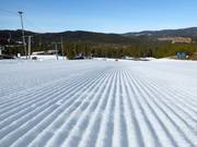 Perfecte pistepreparatie in Nesfjellet