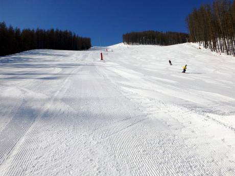 Pisteaanbod Mercantour – Pisteaanbod Auron (Saint-Etienne-de-Tinée)
