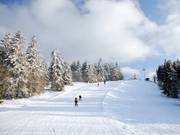 De varianten in het bovenste gedeelte, links gelijkmatig hellend, rechts eerst wat steiler