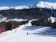 Piste bij de gondellift Carosello 3000