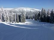 Gemakkelijke Wiesenquelle-afdaling