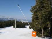 Uitgebreide besneeuwing in Pamporovo