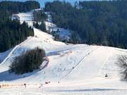 Betreutes Renn- und Trainingscenter (Niederau)