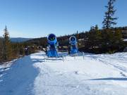 Sneeuwkanonnen in Nesfjellet