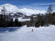 Dalafdaling naar Surlej