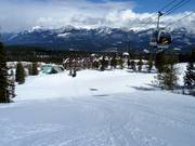 Afdaling Grizzly Paw