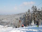 Steinbrinklift I - Sleeplift met T-beugel/Ankerlift