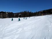 Tip voor de kleintjes 