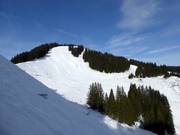 Uitzicht op de Weiherkopf