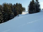 2. Afdaling bij de Hempelsberglift