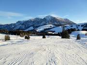 Gemakkelijke panoramapiste