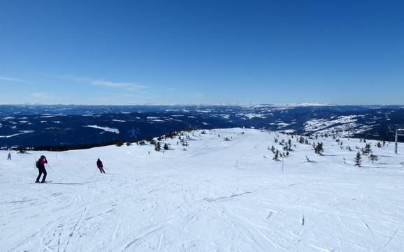 Beste skigebied in Lillehammer – Beoordeling Hafjell
