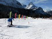 Beginnersgebied op de Ehrwalder Alm