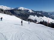 Dalafdaling Waltensburg