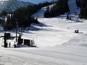 Beginnersgebied bij de Molly Hogan Lift