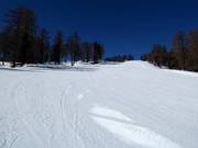 Watles afdaling in het onderste gedeelte (dalafdaling)