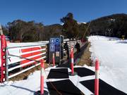 Wombats Snow Runner - Transportband/Moving Carpet