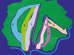 Skigebied Zolotaya Gora