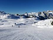 Gemakkelijke bosafdaling