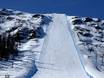 Skigebieden voor gevorderden en off-piste skiërs Midden-Zweden – Gevorderden, off-piste skiërs Idre Fjäll