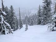 Diepsneeuw bij de stoeltjeslift Milly Express